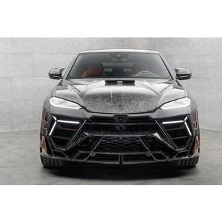 Kit carrozzeria MNSR Carbon (per SE 2024+, carbonio forgiato) foto 4