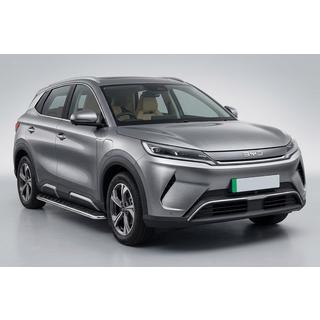 Pedane Laterali Maydos V1 (2 pz, Alluminio e Acciaio Inox) BYD Atto 2/Yuan Up 2024– foto 1