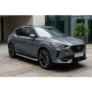 Pedane Laterali Tayga Grey (2 pz, Alluminio) Cupra Formentor 2020- foto 1