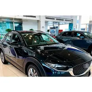 Barre longitudinali tetto integrate OEM (2 pz) foto 3