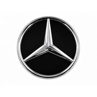 Emblema anteriore sotto vetro (per restyling) foto 1