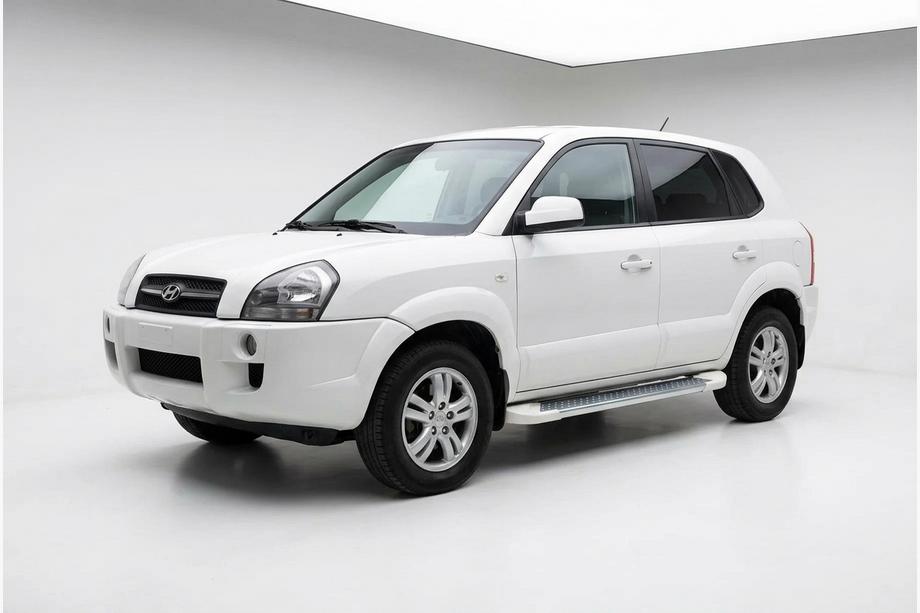Hyundai Tucson JM 2004- Pedane Laterali Allmond White (2 pz, Alluminio) Image