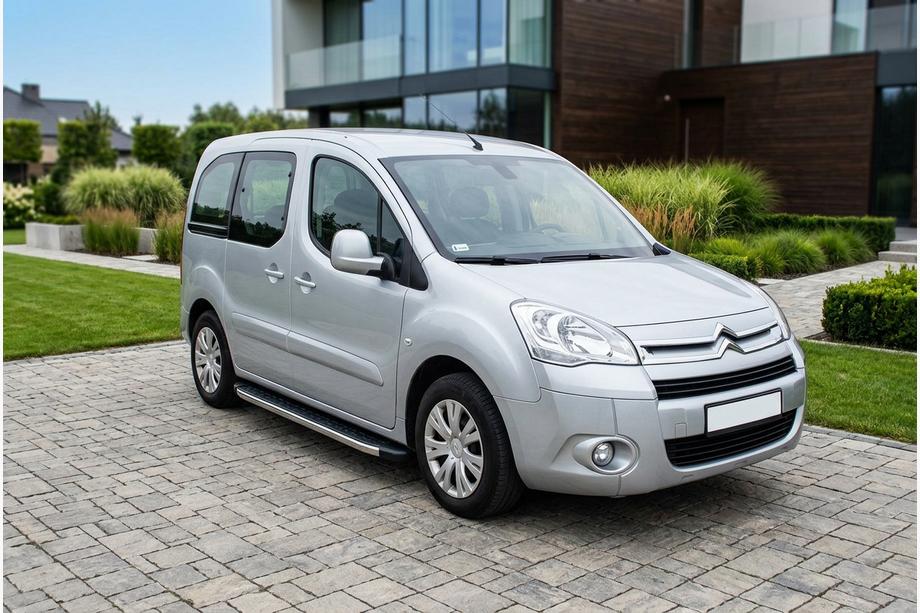 Citroen Berlingo 2008-2018 Pedane Laterali BlackLine (2 pz, Alluminio) Image