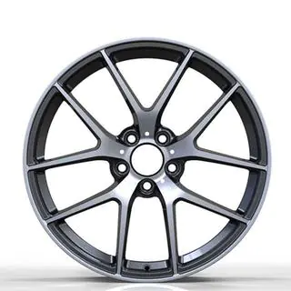 Cerchi forgiati DH-Style V20 R16