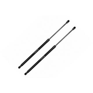Ammortizzatori cofano (2 pz)
