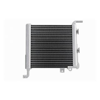 Radiatore laterale sinistro