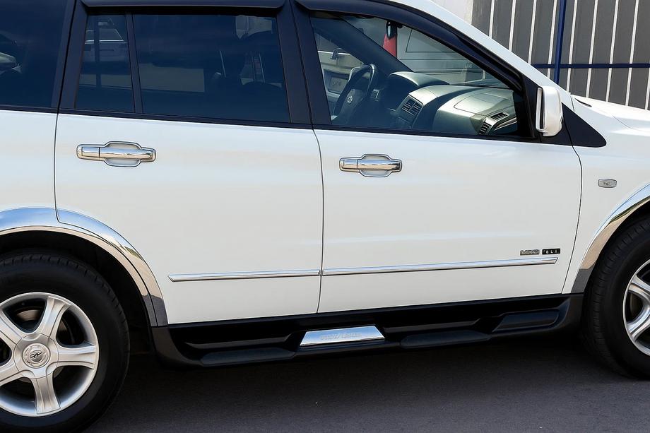 Ssang Yong Rodius Coperture Maniglie Porta Cromate (4 pz, plastica) Image