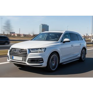Pedane Laterali Rainbow (2 pz, Alluminio) Audi Q7 2015–2026 foto 1
