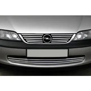 Coperture Griglia Cromate (Acciaio Inox) foto 1