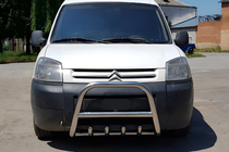 Citroen Berlingo 1996-2008 Protezione Anteriore WT003 Acciaio Inox foto 1