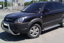 Hyundai Tucson JM 2004- Parabulloni WT002 (Acciaio Inox) foto 3