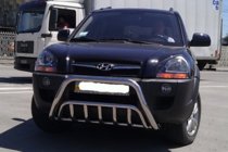 Hyundai Tucson JM 2004- Parabulloni WT002 (Acciaio Inox) foto 2