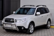 Subaru Forester 2008-2013 Parabulloni WT018 (Acciaio Inox) foto 3