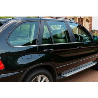 Modanature inferiori in acciaio inox (6 pz) BMW X5 E53 1999–2006 foto 1