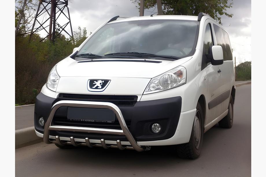 Citroen Jumpy 2007–2017 Parabullbar WT003 (Acciaio Inox) Image