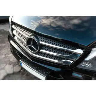 Coperture Griglia Cromate (2013↗, Acciaio Inox) foto 4