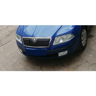Copertura invernale griglia (superiore) Skoda Octavia II A5 2006-2010 foto 3