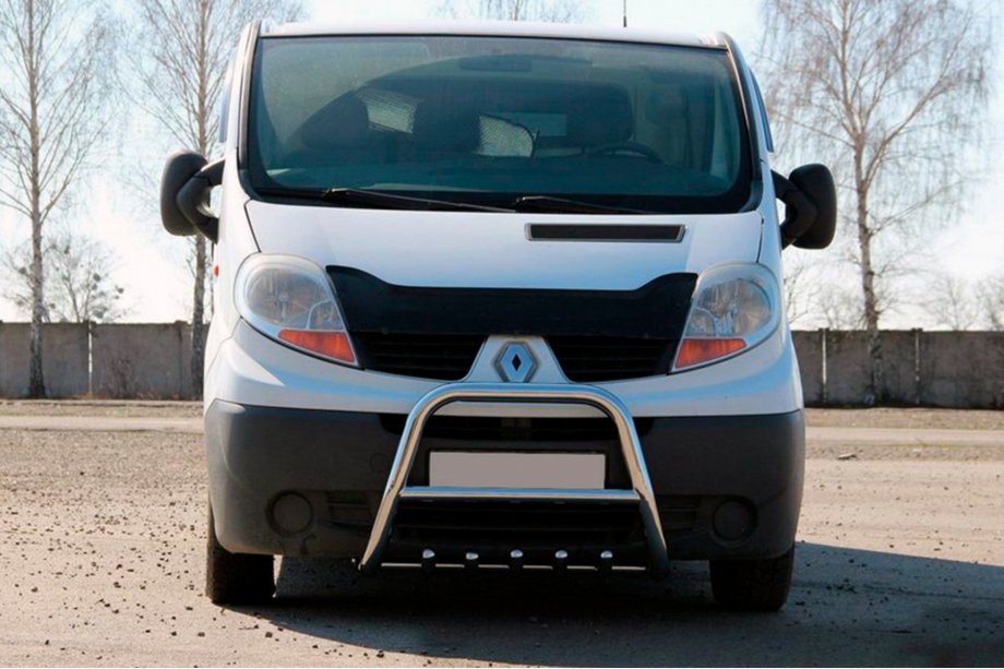 Renault Trafic 2001–2015 Parabull QT-Spec (Acciaio Inox) Image