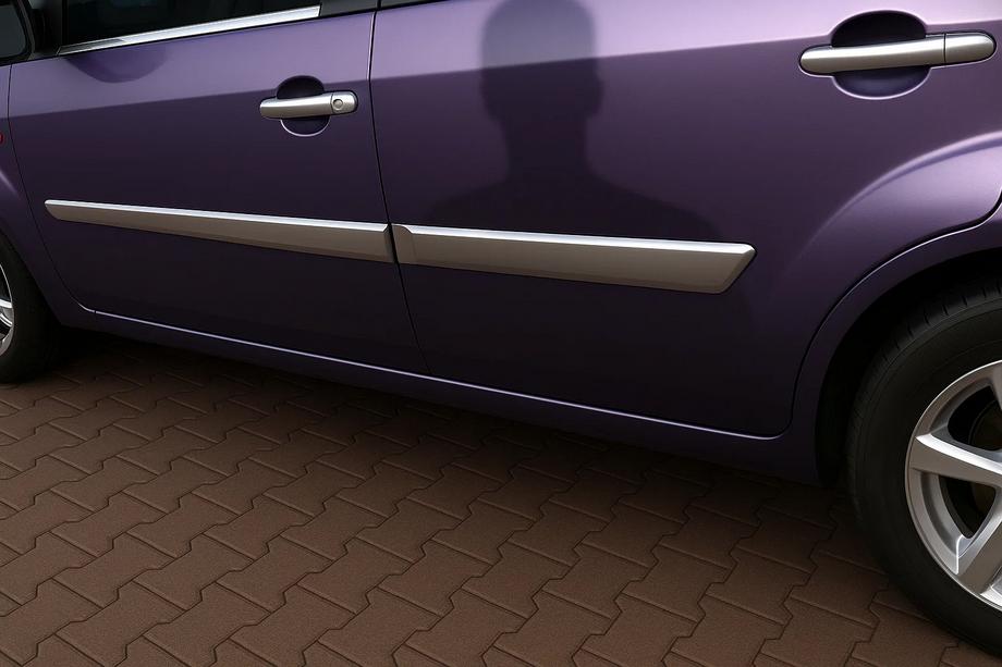 Ford Fiesta 2002-2008 Modanature Porte Acciaio Inox (4 pz) Image