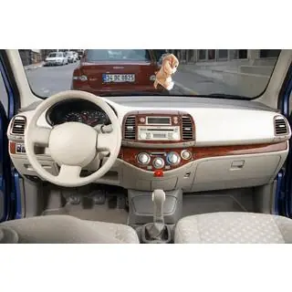 Coperture Cruscotto foto 1
