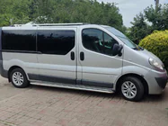 Opel Vivaro 2001–2015 Pedane Laterali Premium (2 pz, Acciaio Inox) foto 15