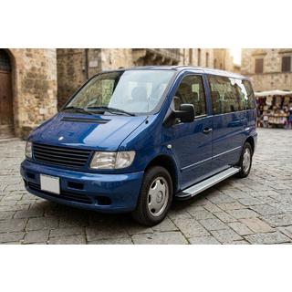 Pedane Laterali Maya V2 (2 pz, Alluminio) Mercedes Vito W638 1996-2003 foto 1