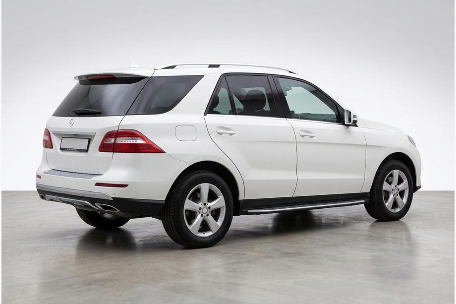 Mercedes GLE/ML class W166 2011-2018 Pedane Laterali Duru (2 pz, Alluminio) Image