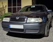 Skoda Octavia I Tour A4 1996-2010 Griglia invernale (superiore) foto 3