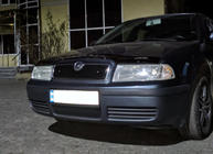 Skoda Octavia I Tour A4 1996-2010 Griglia invernale (superiore) foto 4