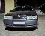 Skoda Octavia I Tour A4 1996-2010 Griglia invernale (superiore) foto 6