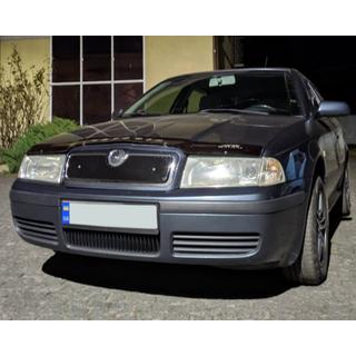 Griglia invernale (superiore) Skoda Octavia I Tour A4 1996-2010 foto 3