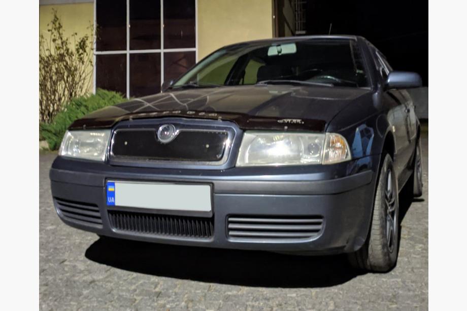 Skoda Octavia I Tour A4 1996-2010 Griglia invernale (superiore) Opaco Foto 3