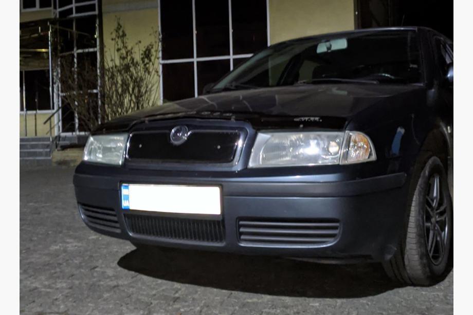 Skoda Octavia I Tour A4 1996-2010 Griglia invernale (superiore) Opaco Foto 4