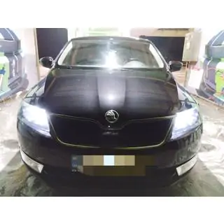 Griglia invernale (superiore) Skoda Rapid 2012-2019 foto 1