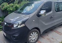 Opel Vivaro 2015-2019 Cover Specchietti (2 pz, plastica) foto 9