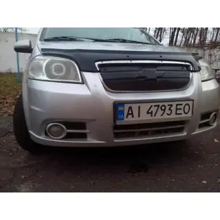Griglia invernale foto 2