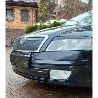 Copertura invernale per griglia (inferiore) Skoda Octavia II A5 2006-2010 foto 2