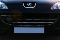 Peugeot 407 2004-2011 Coperture Griglia Cromate (3 pz, Acciaio Inox) foto 1