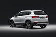 La prima indagine dell’incrocio Seat Ateca foto 5