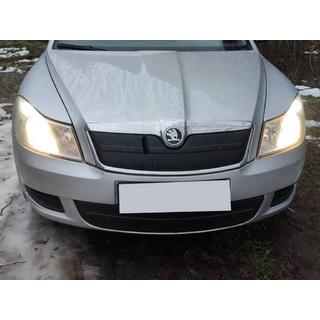 Copertura invernale per griglia (inferiore) Skoda Octavia II A5 2010-2013 foto 2