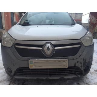 Griglia invernale opaca (2013-2017) foto 3
