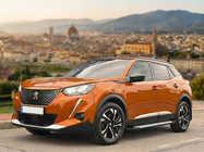 Peugeot 3008 2016-2023 Pedane Laterali Allmond Grey (2 pz, Alluminio) foto 1