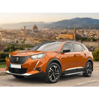 Pedane Laterali Allmond Grey (2 pz, Alluminio) Peugeot 3008 2016-2023 foto 1