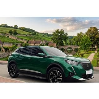 Pedane Laterali Allmond Black (2 pz, Alluminio) Peugeot 3008 2016-2023 foto 1
