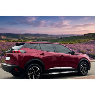 Pedane Laterali Line (2 pz, alluminio) Peugeot 3008 2016-2023 foto 1