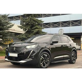 Pedane Laterali Bosphore Grey (2 pz, Alluminio) Peugeot 3008 2016-2023 foto 1