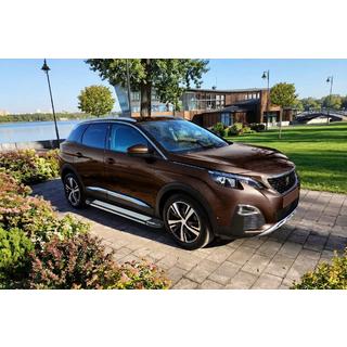 Pedane Laterali Rainbow (2 pz, Alluminio) Peugeot 3008 2016-2023 foto 1