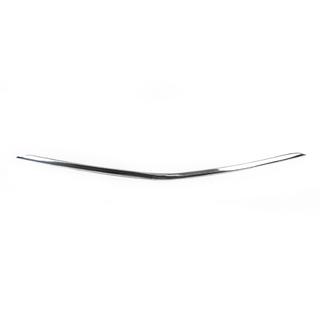 Cornice griglia paraurti (acciaio inox) foto 2