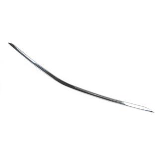Cornice griglia paraurti (acciaio inox) foto 3