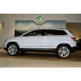 Modanature Porte Acciaio Inox Skoda Karoq 2018- foto 3